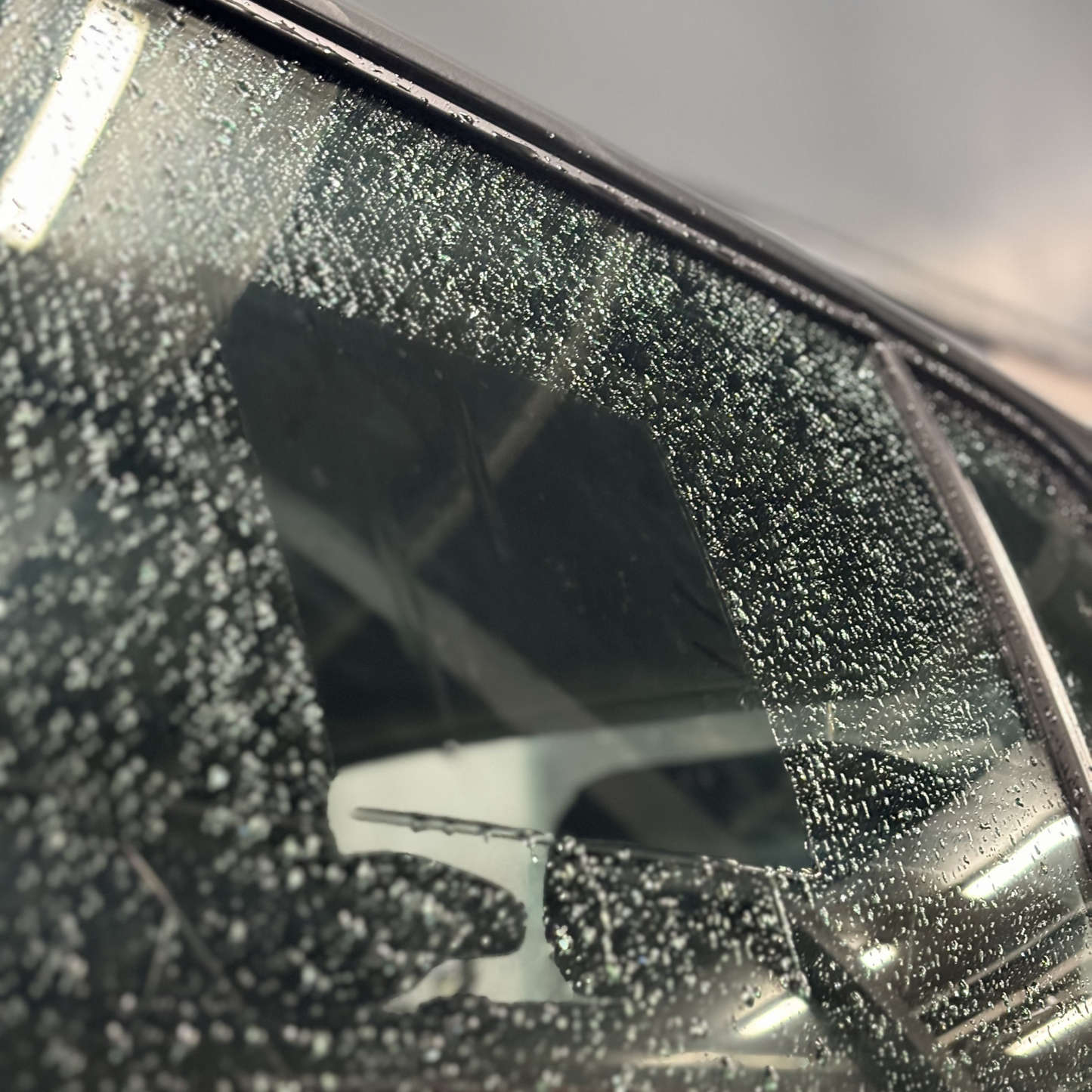 RainWarden™ Mirror Rain and Dirt Protector